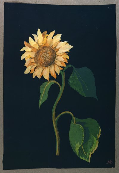 Sunflower by Mary Granville Delany